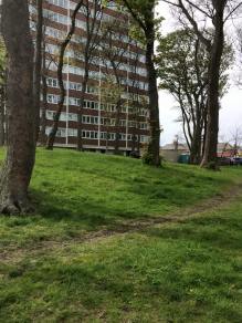 11143107_10153944439356393_8901249974161350470_n